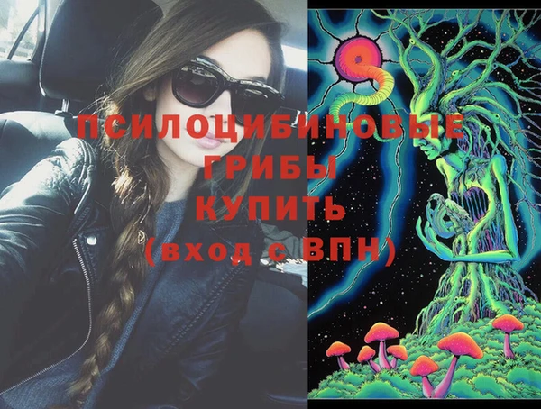 прущий лед Алексеевка