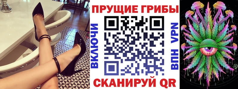 Псилоцибиновые грибы Cubensis  сайты даркнета как зайти  Бодайбо 